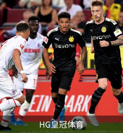 HG皇冠体育概况